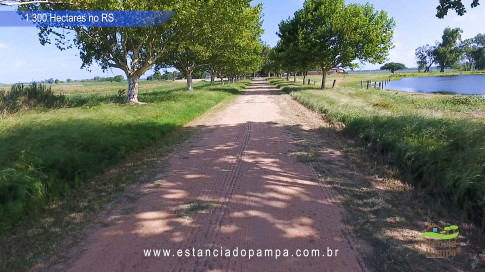 Os gaiteiros buenos - o som do gaitaço [VDownloader].00_02_00_11.Quadro027_13d6f2a17d6887d1f22db162d5cc02abb648c524.jpg